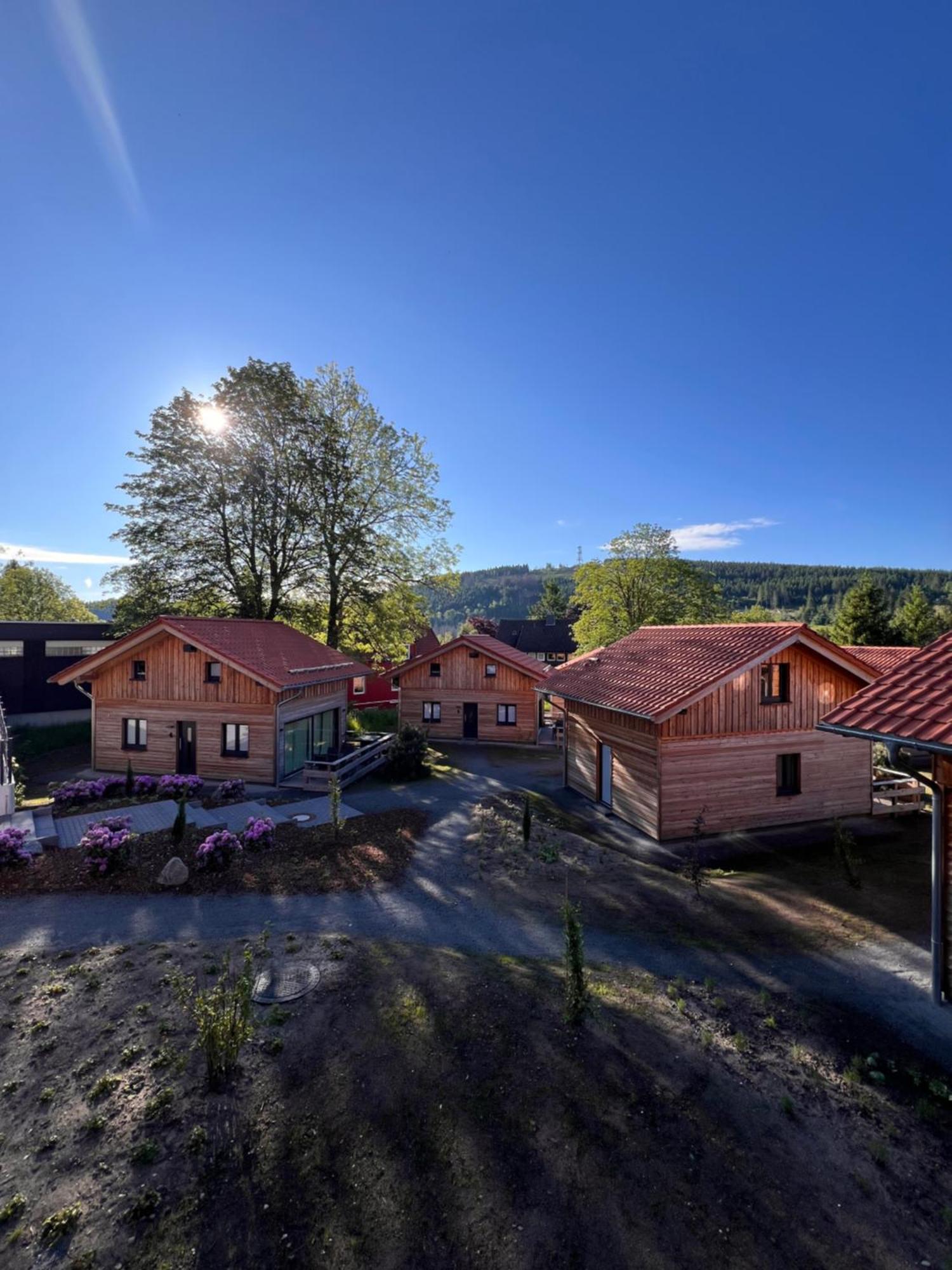 Cecilienpark Oberharz Villa Goslar Exterior foto