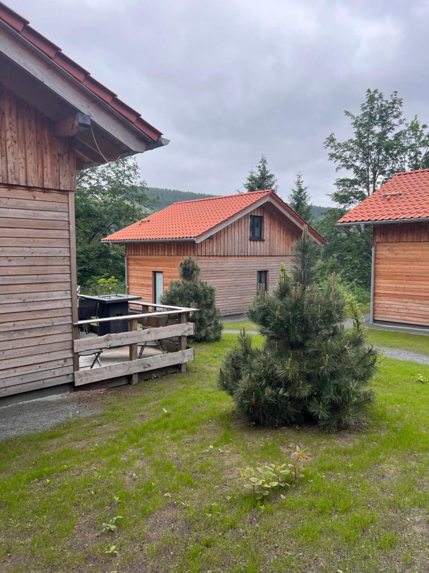 Cecilienpark Oberharz Villa Goslar Exterior foto