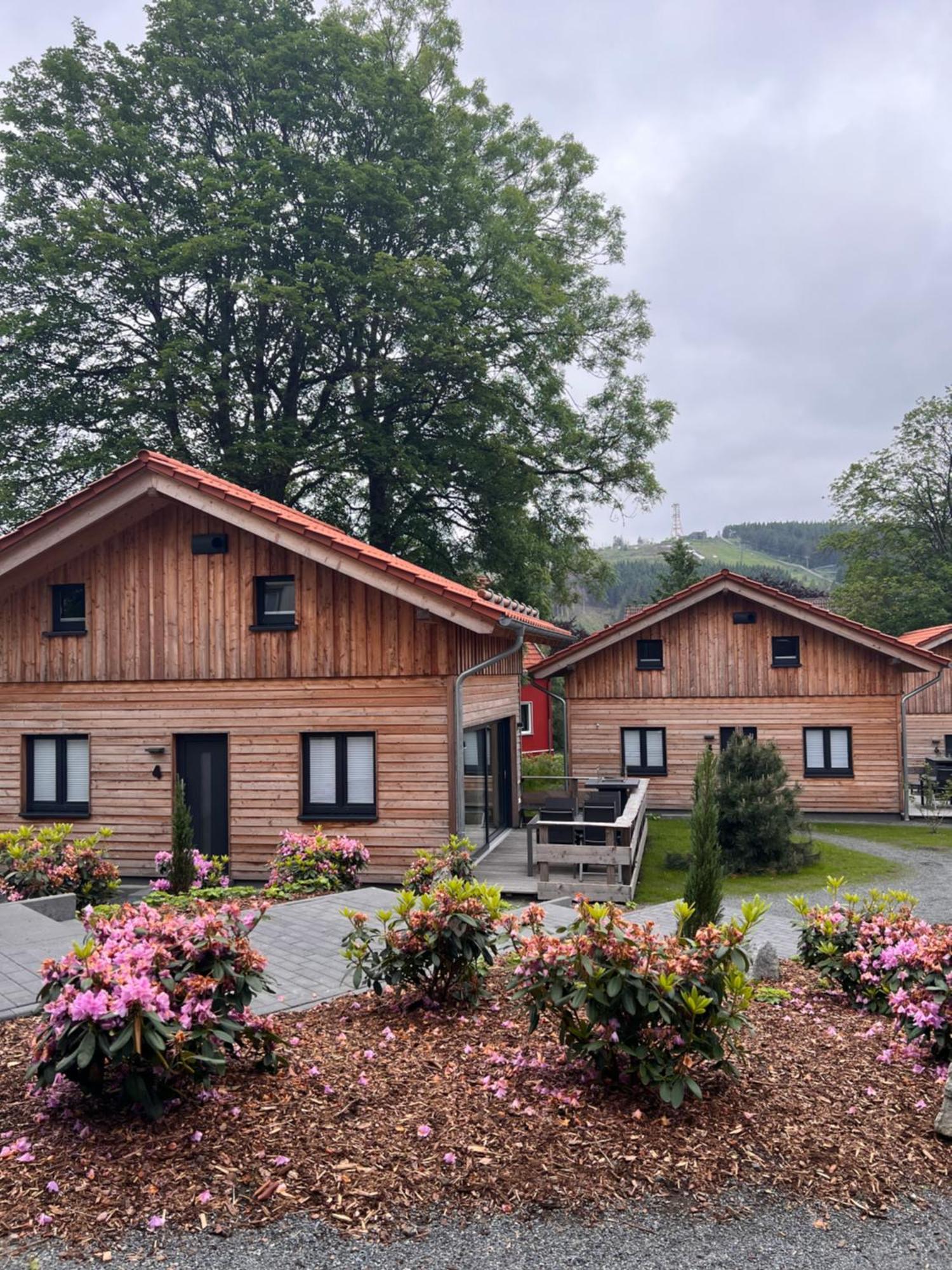 Cecilienpark Oberharz Villa Goslar Exterior foto
